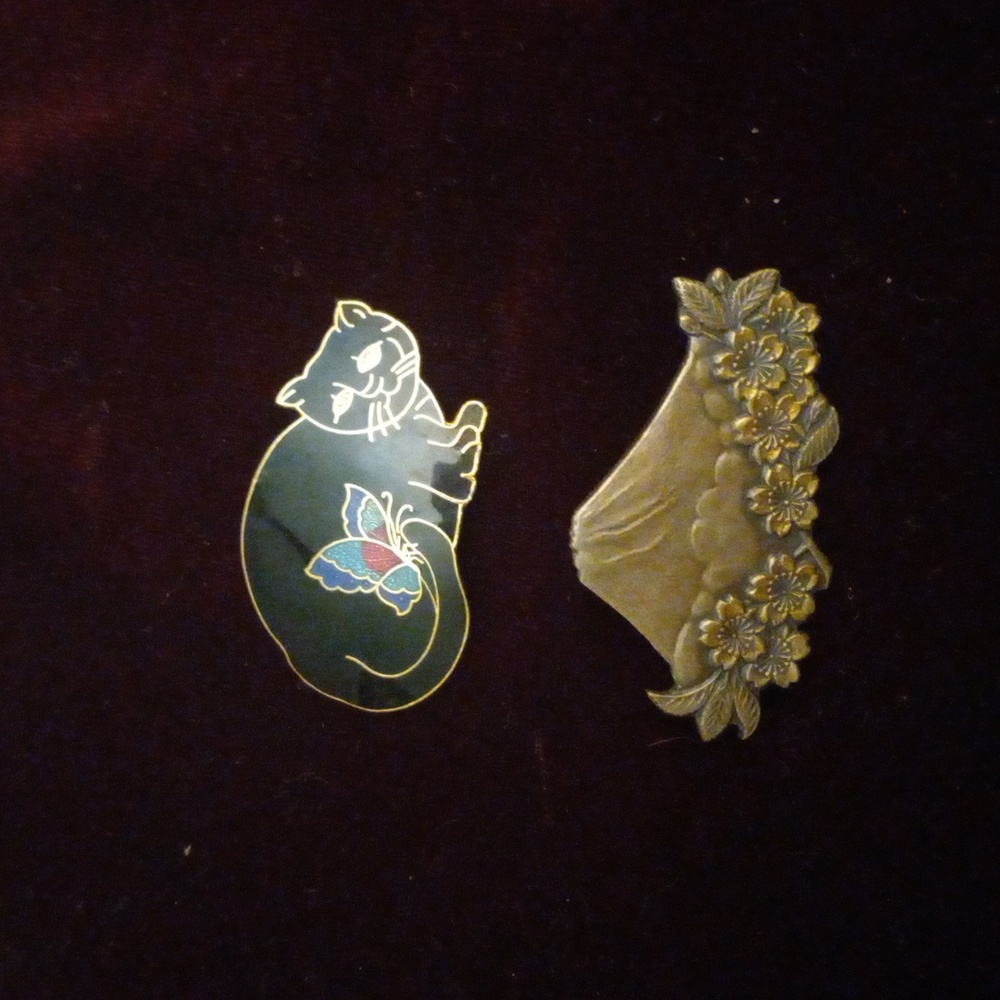 Two Brooches, Cloisonne Cat and Volcano
